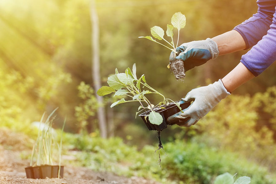 4 Pointers for Running a Successful Seasonal Business