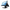 15.6